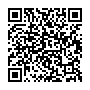 只是看到那个漂亮的学姐一脸殷切地看着吴虎臣二维码生成