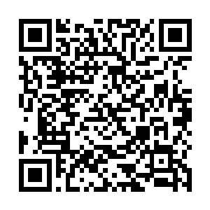 只是眼睁睁地看着电梯门关了起来美女圣约书全文阅读二维码生成