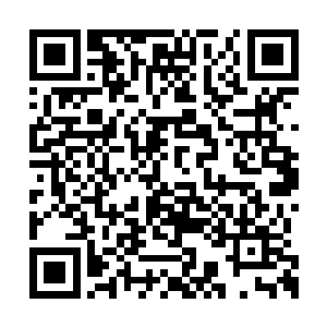 只是瞬间便是来到了这六位长老的身前百丈之远二维码生成