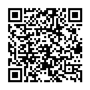只是笑嘻嘻的看着两只海豚自己在那里进行着表演二维码生成