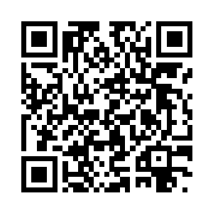 只是红河公司现场中暴乱之中的极小的一部份二维码生成