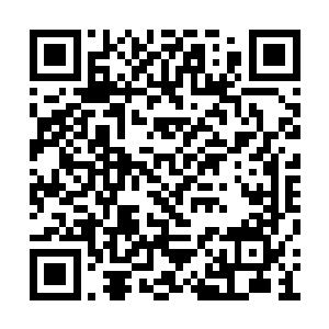 只是纯粹的曲调便能够带动太极之极的苏醒旋转二维码生成