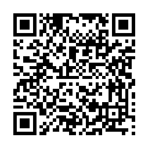 只是脱下身上早已经被亚瑟抓得乱七八糟的西装披到她身上二维码生成