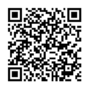 只是脸上并没有带着南疆圣女接见外人要带着的面具二维码生成