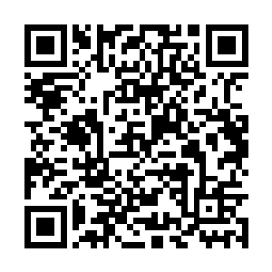 只是自信夏丹星巢在暗面云集了整个红云门的力量二维码生成