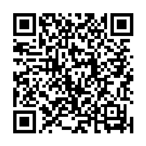 只是苍白的脸庞和颤抖的小腿已经暴露了她心中的恐惧二维码生成