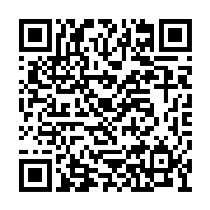 只是觉得长阳和圣子殿下能从青山手中顺利逃走二维码生成