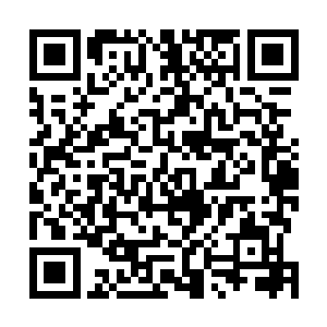 只是让她没想到的是柳枝青居然在家书之中提过她的名字二维码生成