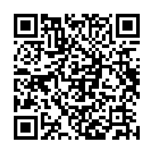 只是让我们贝克家族成为他们登上修炼更高一层的阶梯而已二维码生成