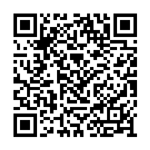 只是这一次唐劫的掌风劈在他们的血色烟云罩上二维码生成
