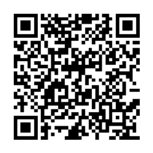 只是这两点对于导演执导电影来说根本毫无用处二维码生成