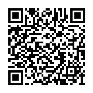 只是这个家伙比那个少主的年龄看起来更大一点二维码生成
