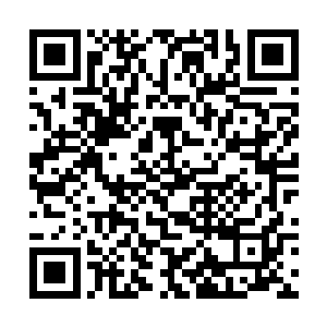 只是这么一个小小的苦肉计和三言两语是远远不够的二维码生成