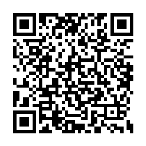 只是这些宗门子弟知恩图报的做法让他有些意外二维码生成
