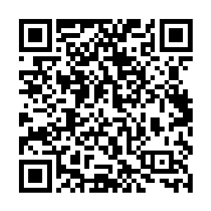 只是这些雪之生命不知道是不是因为还是幼崽的缘故二维码生成