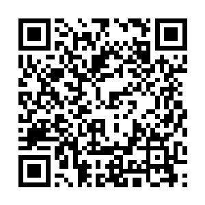 只是这样大的话题哪怕陆为民是市委书记也解决不了二维码生成