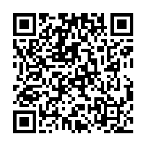 只是这达摩遗体乃是达摩祖师羽化飞升之后所留下来的肉胎二维码生成