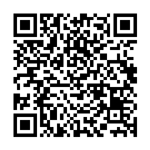 只是那女尸被搞这成样子葬在一棵大柳树的上面倒底算怎么回事二维码生成