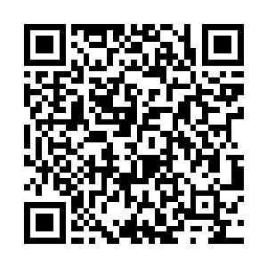 只是那粉色的被罩上随意放着一套粉红色的性感内衣二维码生成