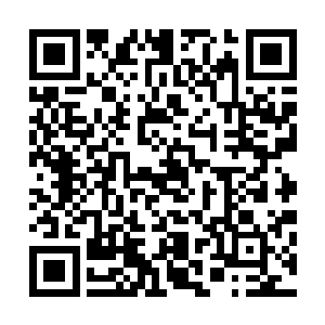 只是那边的战事却并没有因为西陵大军占得先机而一帆风顺二维码生成