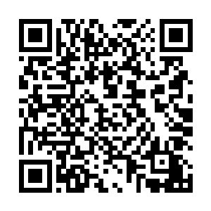 只是针对现代人常有的心理问题和亚健康状态展开干预二维码生成