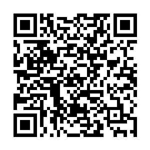 只是防护阵内的雪玲珑和青菊见到这一幕皆揪心了起来二维码生成