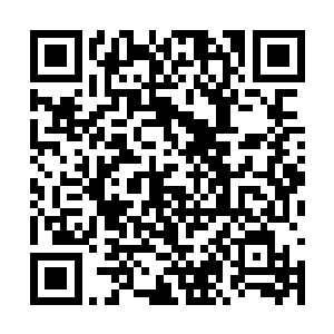 只是顾虑到这个势力多如蚂蚁的东南半岛安全状况二维码生成