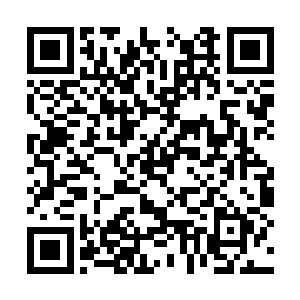 只有万蛊之王才能够拥有那样一双薄如蝉翼的翅膀二维码生成