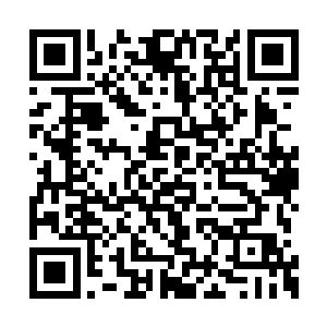 只有与巫修一脉相承的巫祖精气方才能遮掩得住二维码生成