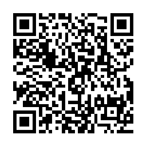 只有两位长老一口咬定苏落身上搜出来的那颗才是被偷盗的那颗二维码生成