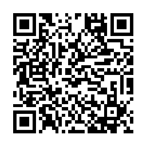 只有了那逝去者亲人们若有若无的哭声还在山中回响着二维码生成