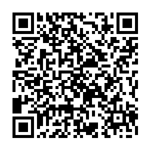 只有云横山和龙门四派前段时间起兵时动用的精锐方才能与这些兵将一比二维码生成