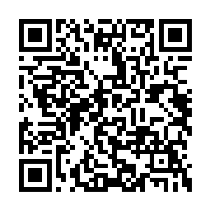 只有人族的修士才会为自己的行为不端寻找借口二维码生成