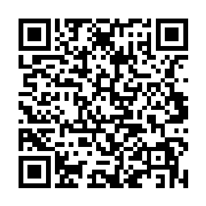 只有仙帝后期的高手才能够勉强的将空中的神器定住二维码生成