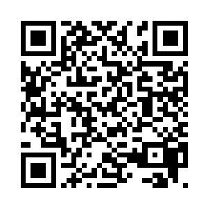 只有你才能救他们了哦……我数三声二维码生成