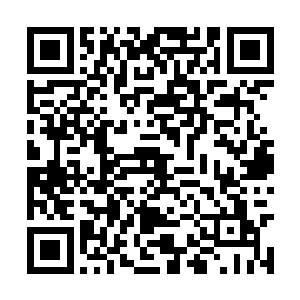 只有你拿到了金鼎符箓也许才会知道是怎么回事吧二维码生成