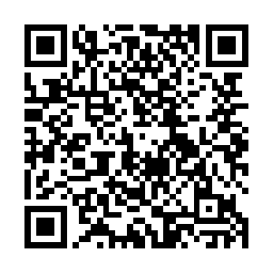 只有修道人渡劫的时候可以享受得到被这风吹拂的滋味二维码生成