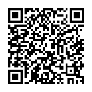 只有到了军一级才有资格筛选人马报由上面核实后编入近卫军二维码生成