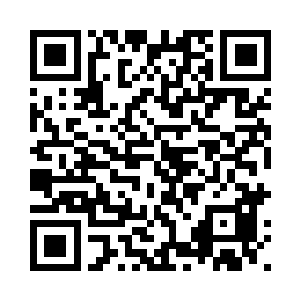 只有剔透绿色叶片弧度优美的垂下二维码生成