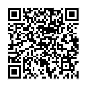 只有四方学院天赋最强的一批人能够接取这个任务二维码生成