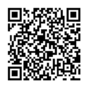 只有在万里无云的夜晚才能够看到月亮那皎洁和温柔二维码生成