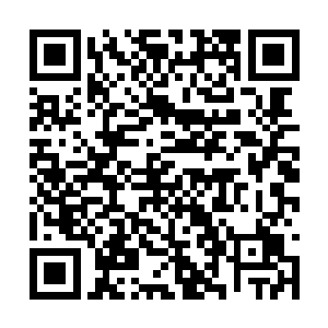 只有在二十万年前蛇祖一人在渡妖圣天劫时遇到过二维码生成