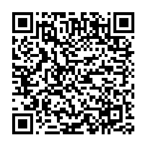 只有在柏林就有记者站的n有这个底蕴派出一支小团队来盯着颁奖典礼二维码生成