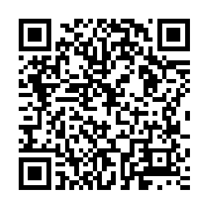 只有地面上的沟壑与众多血液痕迹还在述说着刚才大战的危险二维码生成