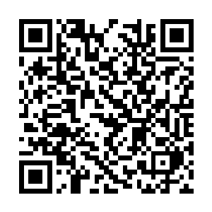 只有大虾一个人气喘吁吁地拖着伊诺斯坐在吧台前二维码生成