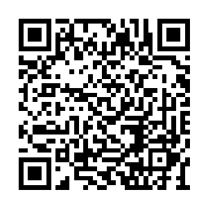 只有天空之中的一团云雾还微微保持着一些亮光二维码生成