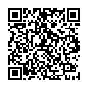 只有宣传部长和政法委书记两个相对边缘的常委是本土干部二维码生成