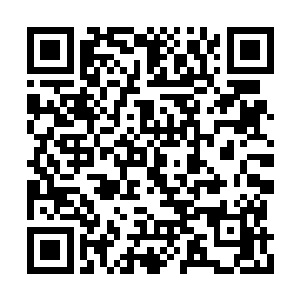 只有寥寥几个魔王面带羞愧和不安地选择了归顺二维码生成