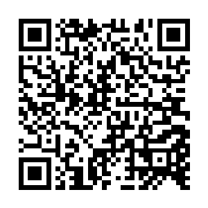 只有少数几个与合欢宗关系还算不错的长老到场了二维码生成