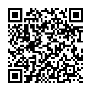 只有当地人带路才能越过如同白洋淀一般复杂的浅海水域二维码生成